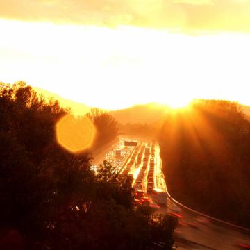 Tom Hall – Many Days End