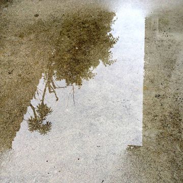 Tom Hall – Cement Rubbings